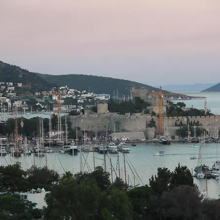 Flag +12 * Bodrum